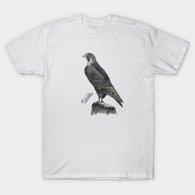 Peregrine Falcon T-Shirt by The Splendid Forest